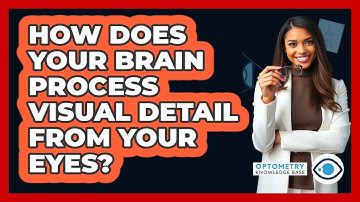 How Does Your Brain Process Visual Detail From Your Eyes? - Optometry Knowledge Base