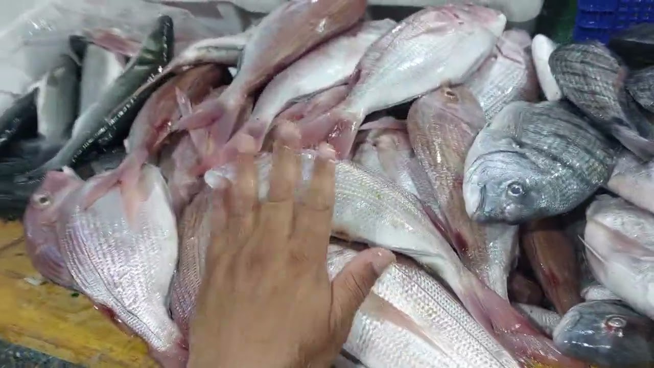 مرحبا بالجميع ليوم 28/02/26 خير مجود بكثرة سارعوا للاستفادة الهاتف 0691463136