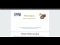 PESTEL Analysis- Structure &amp; content of a Research Analysis and Analytics Tool-Peivand Pirouzi PhD