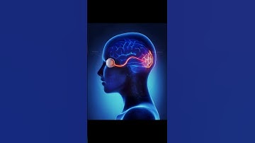 Can you feel pain in optic nerve?