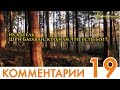 19 неделя КОММЕНТАРИИ