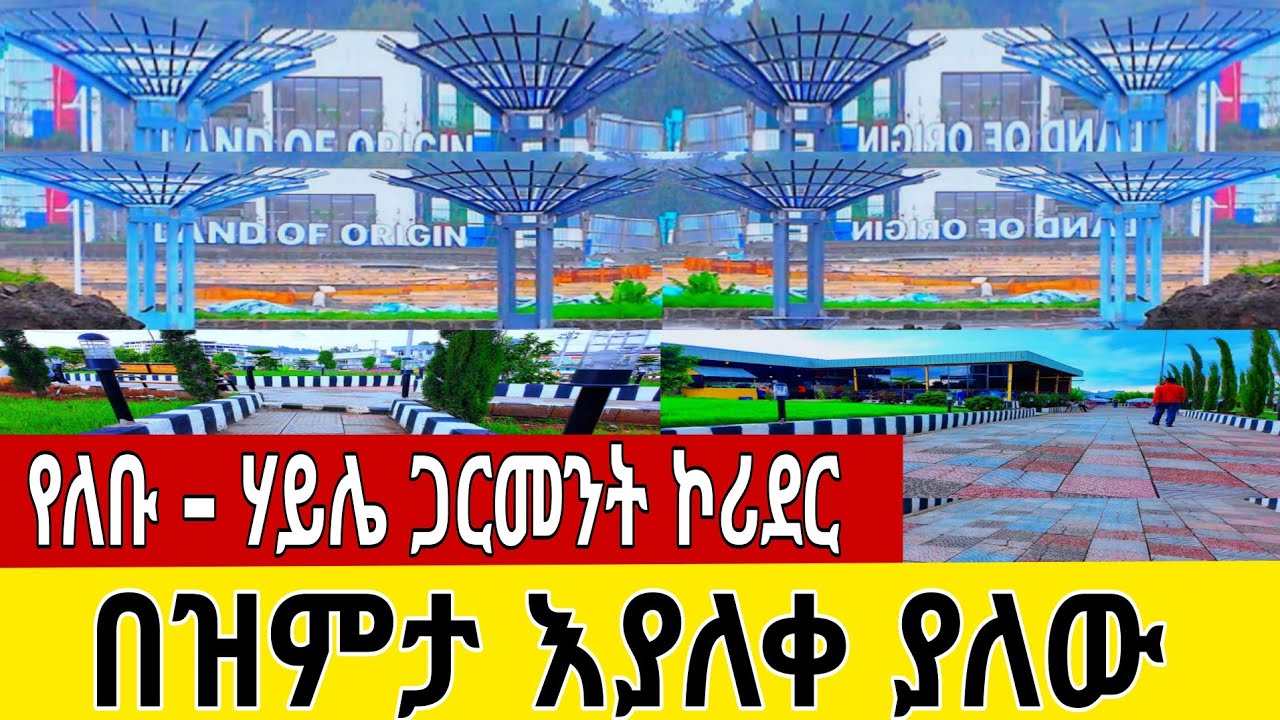 You Won’t Believe These City Vibes! Addis Ababa Shines Like Never ...