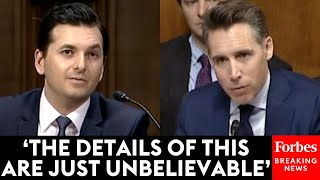 Josh Hawley Questions Witness About His 'Nightmare Scenario' During Senate Judiciary Hearing