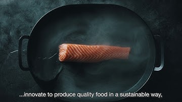 Nutreco and Proximar: investing in land-based salmon farming