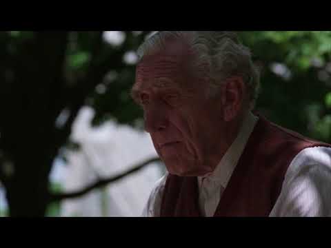 Кадр: Выйти из тюрьмы после 50 лет заключения — «Побег из Шоушенка»