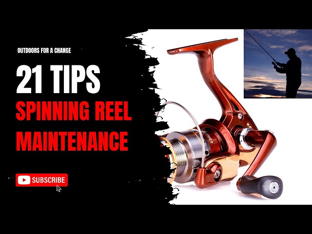 Ryobi Seasir Spinning Reel, Maintenance