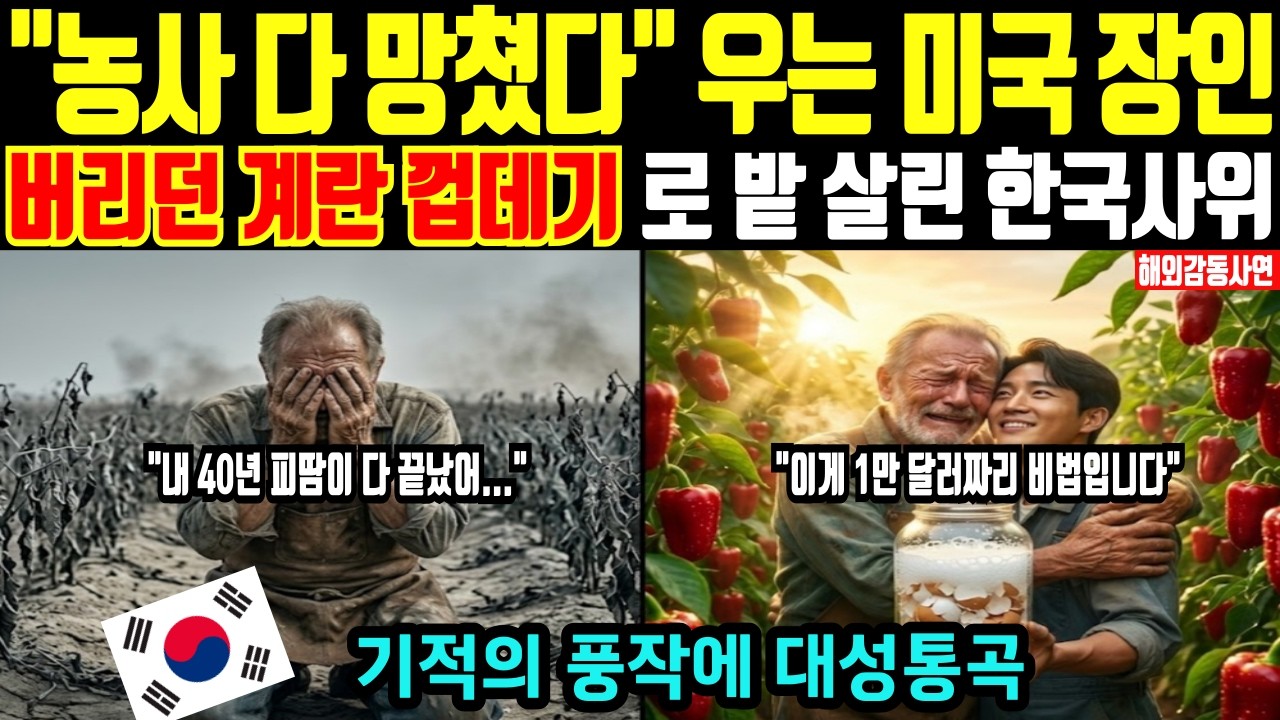 [해외감동사연] 