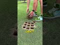 This guy did surgery on the lawn