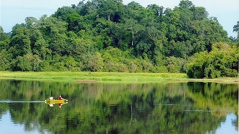 Rừng quốc gia Nam Cát Tiên tuyệt đẹp qua góc máy Flycam