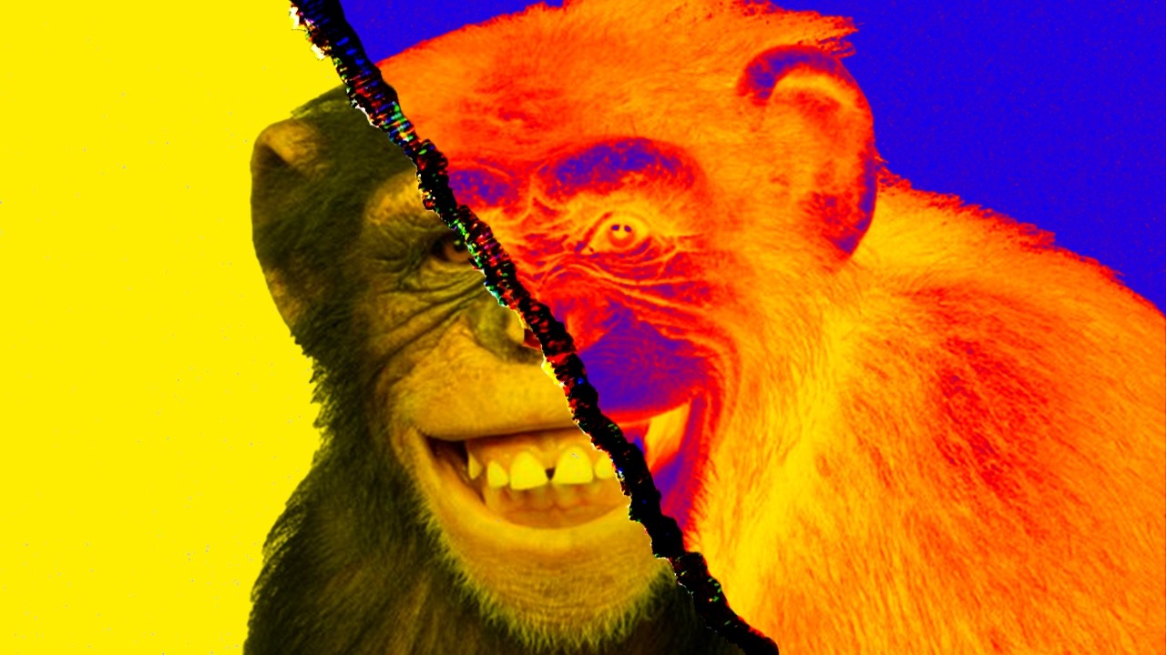 Why Sapiens Got Smart — While Chimps Didn't (7 million – 200,000 years ago)