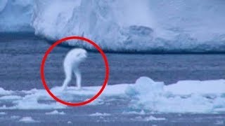 Top 5 Mysterious Creatures Caught on Camera