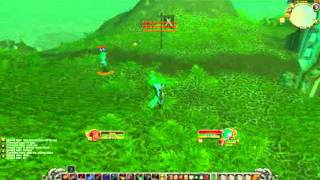 vanish blind patch