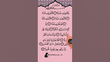 Surah al-adiyat(سورة العاديات) egzon ibrahimi