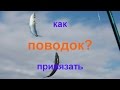 как привязать поводок к стволу самодура