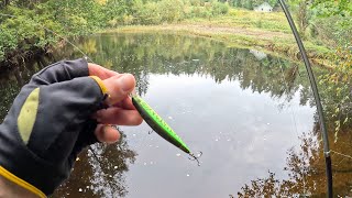 Small river big fish (Norway fishing 🎣)pt.2