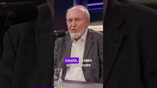 Hans-Werner Sinn Über Die Schutzgelderpressung Der Usa