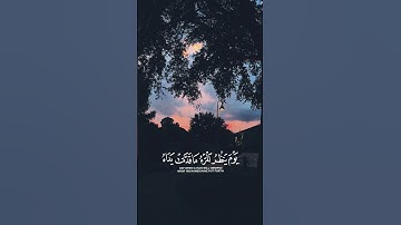 من سورة النبأ || زين العابدين الحديدي