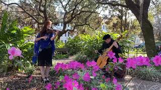 Wedding March Violin And Viola De Gamba