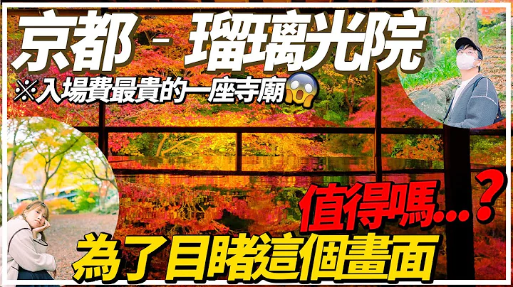 【日本旅遊2022】京都紅葉季最人氣景點『📍瑠璃光院』全京都入場費最貴！真的值得嗎？...為的就是親眼看到這個夢幻的畫面📸 - 天天要聞