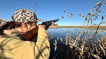 Flooded Corn Duck Hunting with a Lever Action Shotgun!