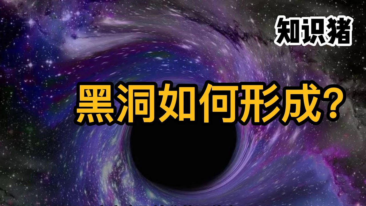 豆瓣评测与科学解析