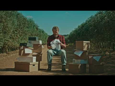 Enterrado en papeleo. Pero al menos el riego funciona. - video from Rivulis