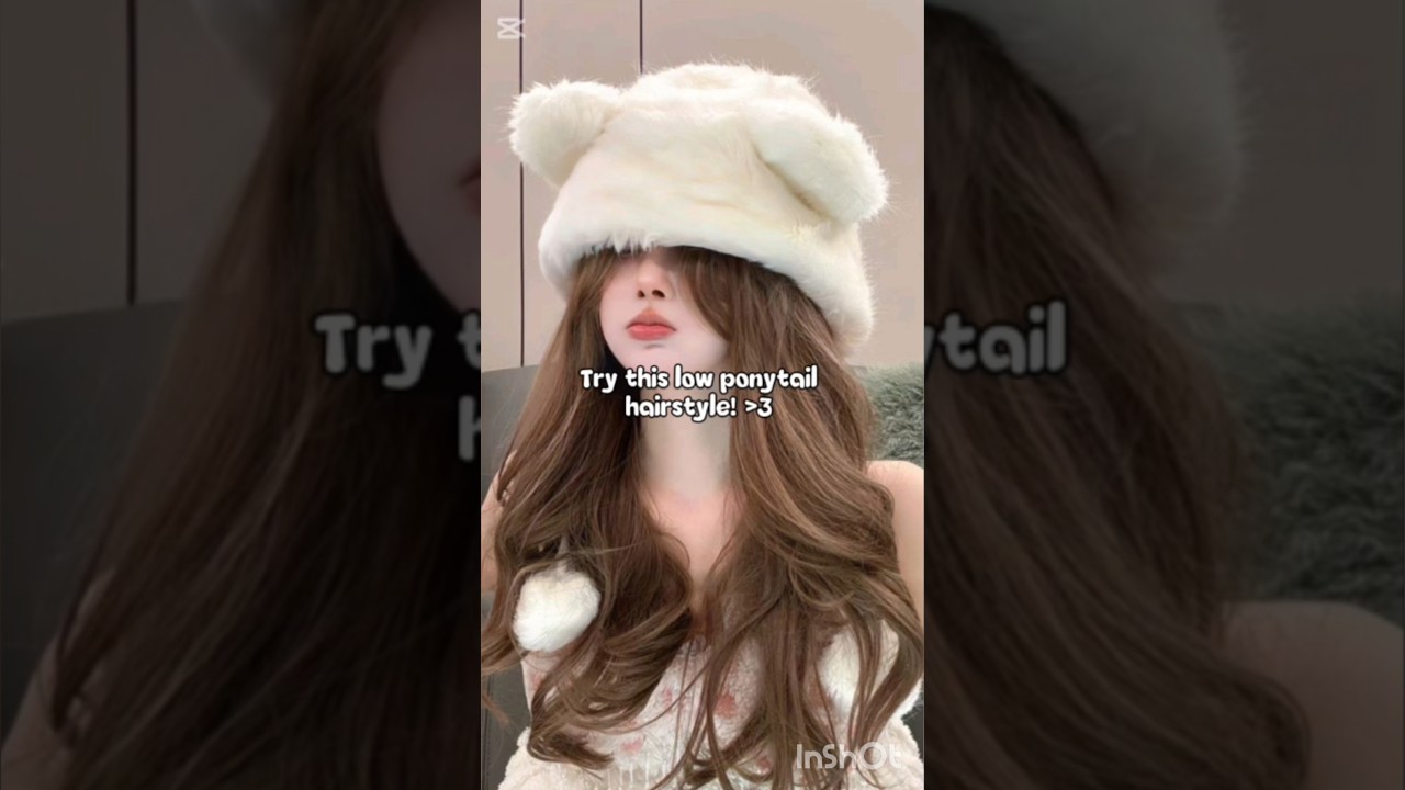 Try this low ponytail hairstyle! 