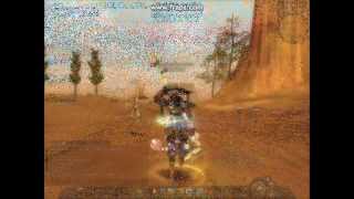 Silkroad Thieves Vs. Hunter