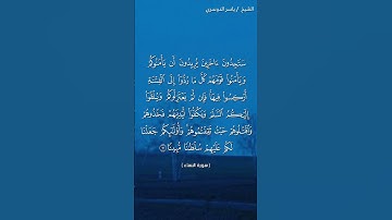 سورة النساء ( آية ٩١)/ ياسر الدوسري