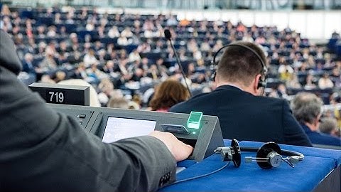 Plenary zapping June 2016: Tax avoidance, migration, Juncker plan