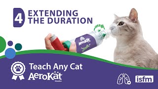 Teach Any Cat AeroKat* - 4: Extending the Duration