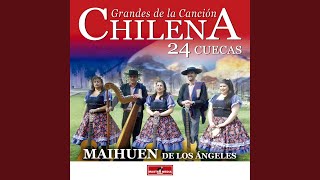 Vídeo de Cueca En Molina
