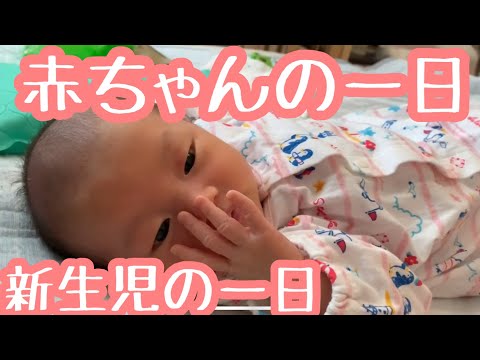 ひまひまチャンネル