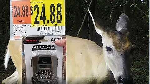 Best Budget Trail Camera - $25 - Setup with Video ...