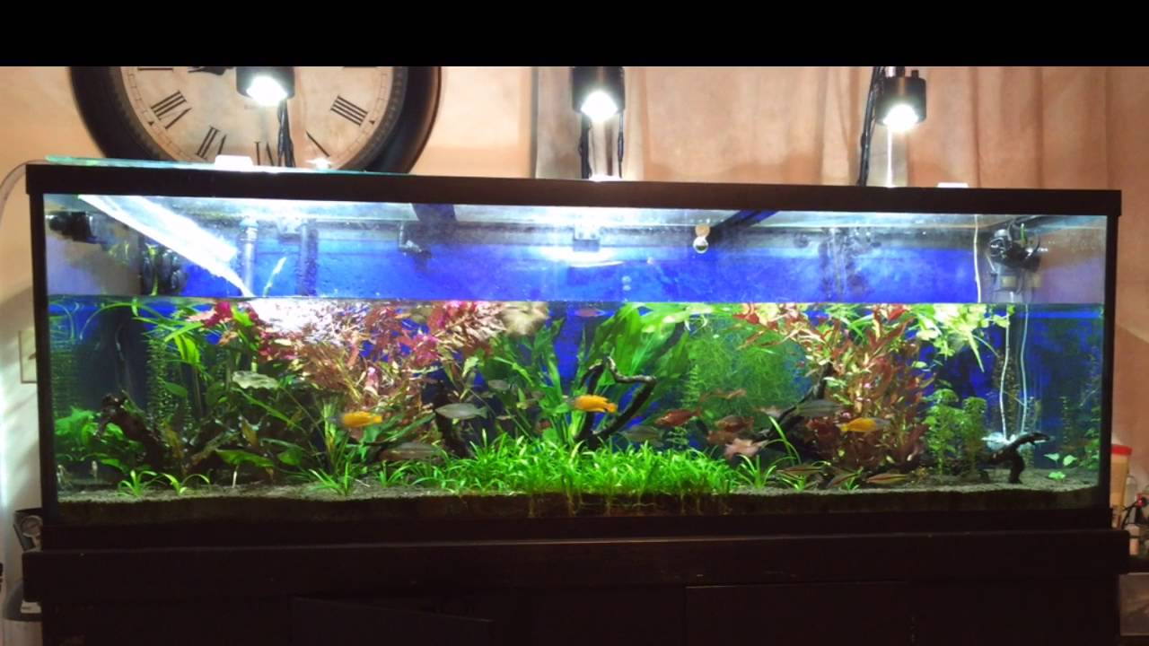 gallone WATER CHANGE