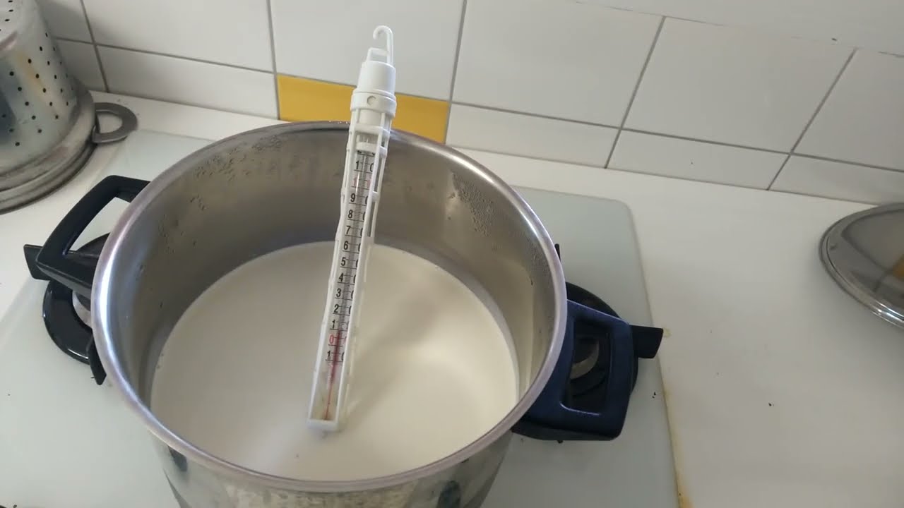 Visite de la yaourterie : l