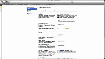 Security Settings In Google Plus