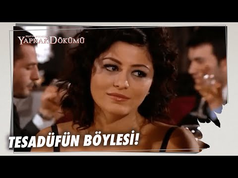 Ferhunde, Levent İle Aynı Mekanda! - Yaprak Dökümü 74. Bölüm