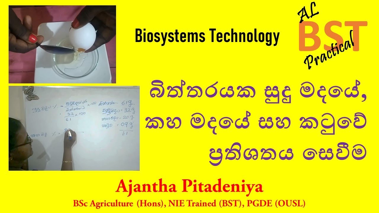 Calculating The Percentages Of Egg White Yolk And Eggshell BST calculating-the-percentages-of-egg-white-yolk-and-eggshell-bst