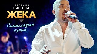 ЖЕКА (Евгений Григорьев) - Синеглазые озера (Удивительная жизнь, концерт в Меридиане, 2013)