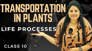 Transportation In Plants | Chapter 5 | Life Processes | Class 10 Science | NCERT