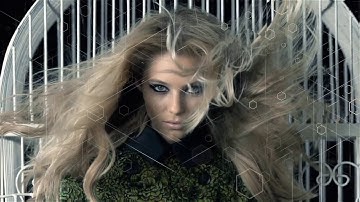 Modern Transition Pack | 40 items| VideoHive Templates | After Effects Project Files