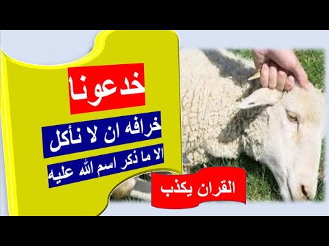 آيات ضيعت المسلمون واضلتهم كلوا ما ذكر اسم الله عليهم باطني