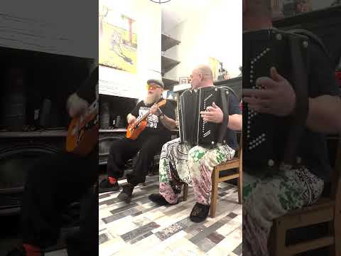 Rockerjoker "Ежи" #rockerjoker #duet #shorts #ukulele #bayan #punk