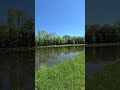 Beautiful video
