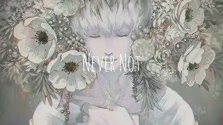 「Nightcore」- Never Not (Lauv)