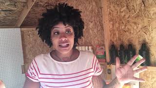 Gofundme- Raising Capital for my business!