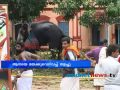 elephants created problems during Thrissur