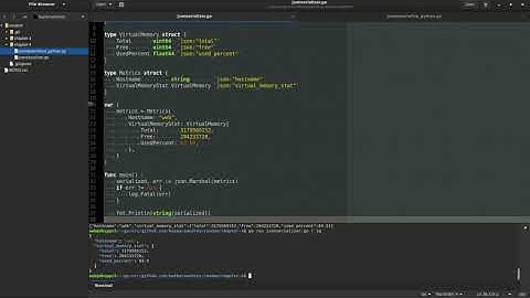 Сериализация JSON в GO,  десериализация в Python