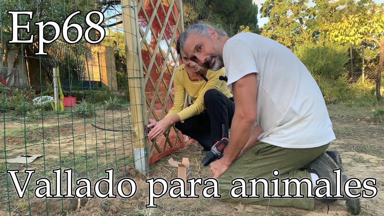 Hacemos un VALLADO para GALLINAS y OVEJAS. Ep68.
